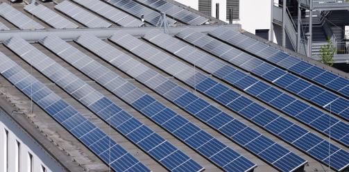 Морозильные и инкубаторные предприятия