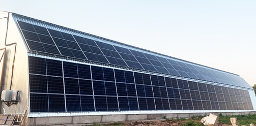 Фермерские, тепличные и садовые хозяйства