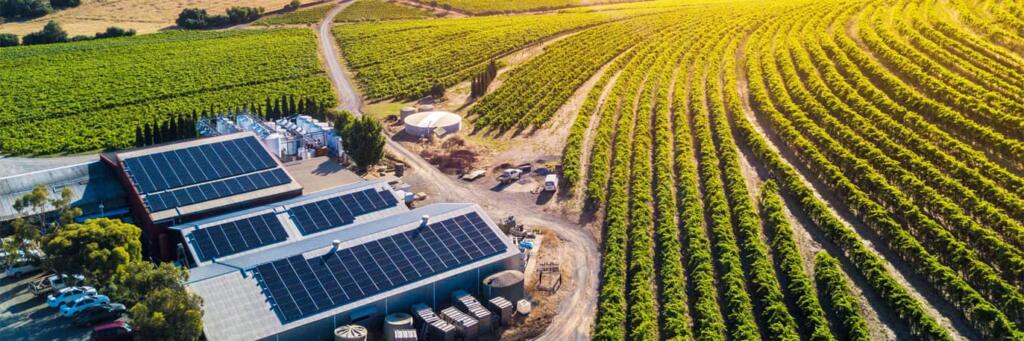 ВЫГОДНЫ ЛИ СОЛНЕЧНЫЕ БАТАРЕИ В УКРАИНЕ?