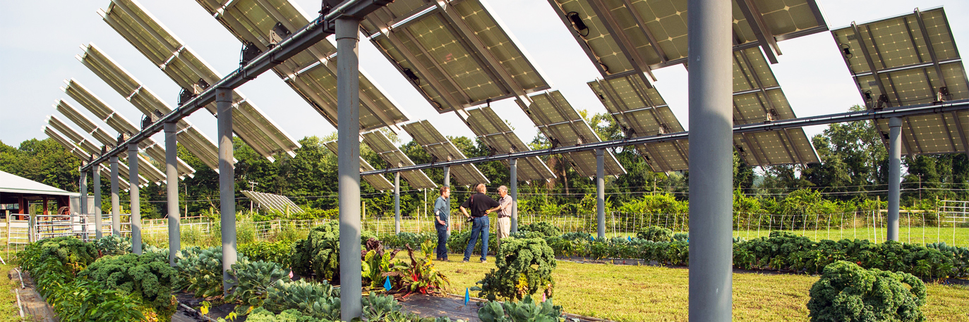 Преимущества солнечных электростанций для аграриев
