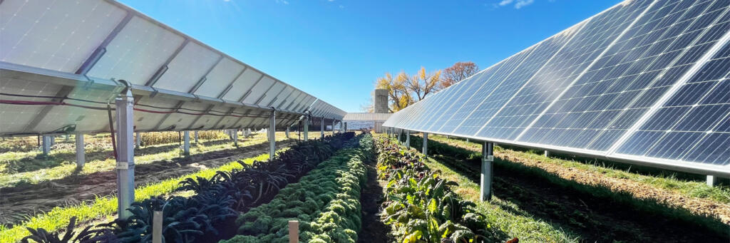 СОЛНЕЧНЫЕ ЭЛЕКТРОСТАНЦИИ ДЛЯ ФЕРМЕРСКИХ ХОЗЯЙСТВ