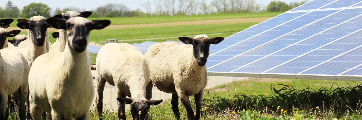 Виды солнечных электростанций для сельского хозяйства